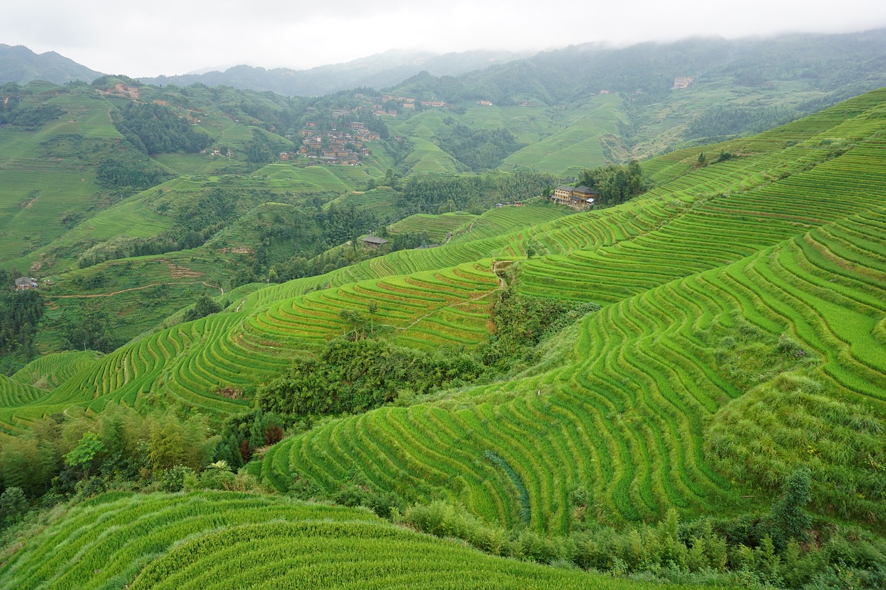 Longsheng